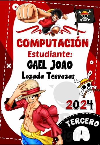 One Piece Caratula Computacion